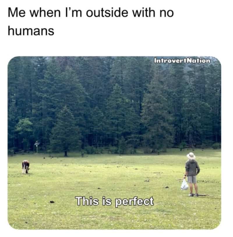 Person alone in a field with a cow, captioned 'Me when I'm outside with no humans' and 'This is p.