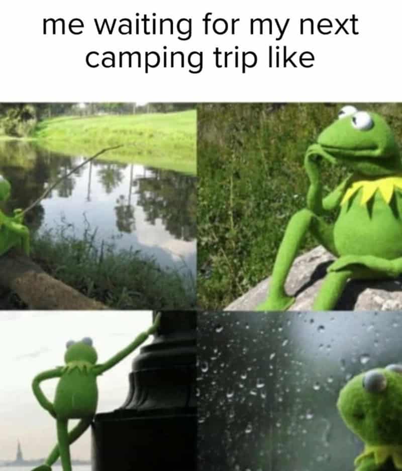 Frog meme with four images and caption about camping trip.