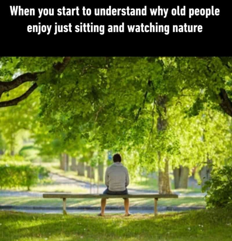 Old person sitting on a bench enjoying nature, surrounded by green trees.