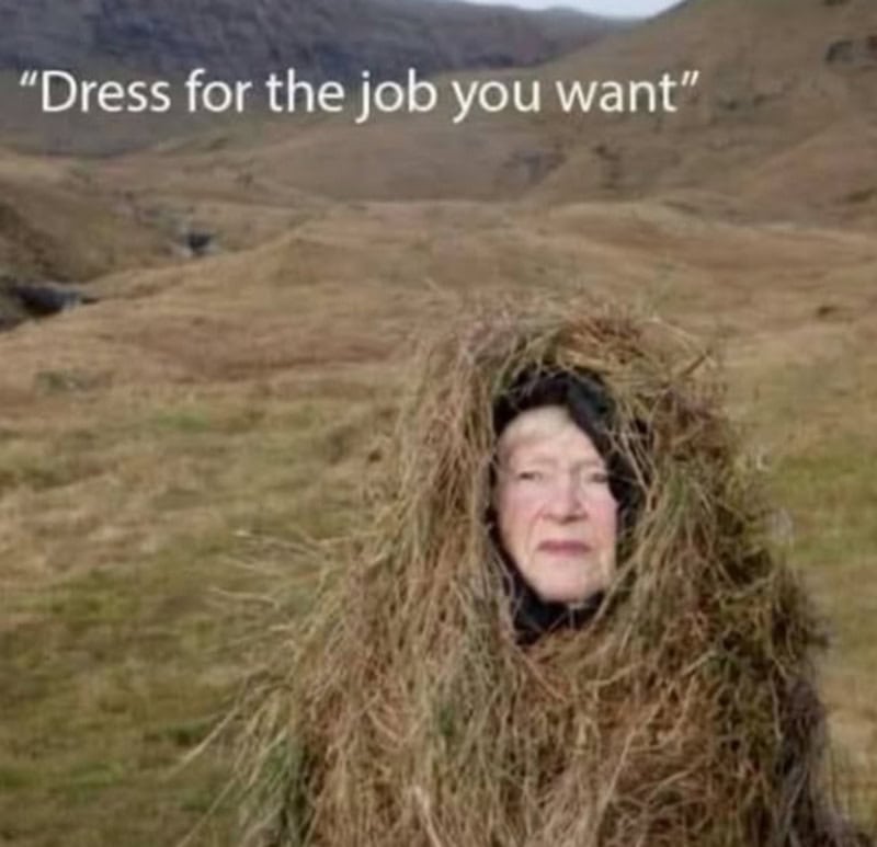 Woman in a grass costume with the caption "Dress for the job you want".