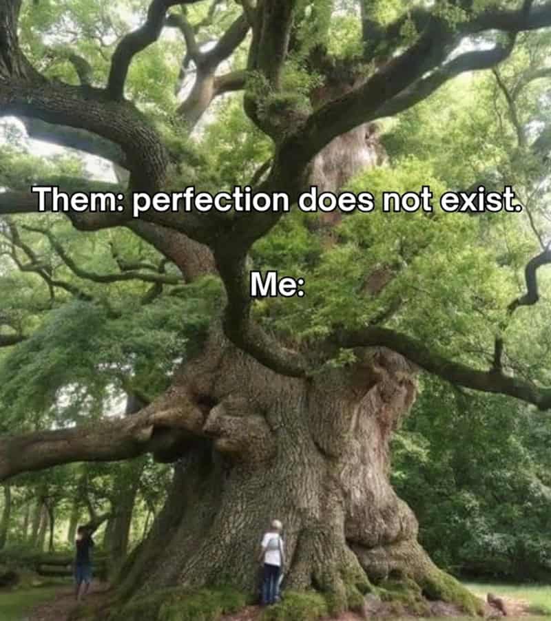 Tree with a person standing at its base, captioned 'Them: perfection does not exist. Me:'.
