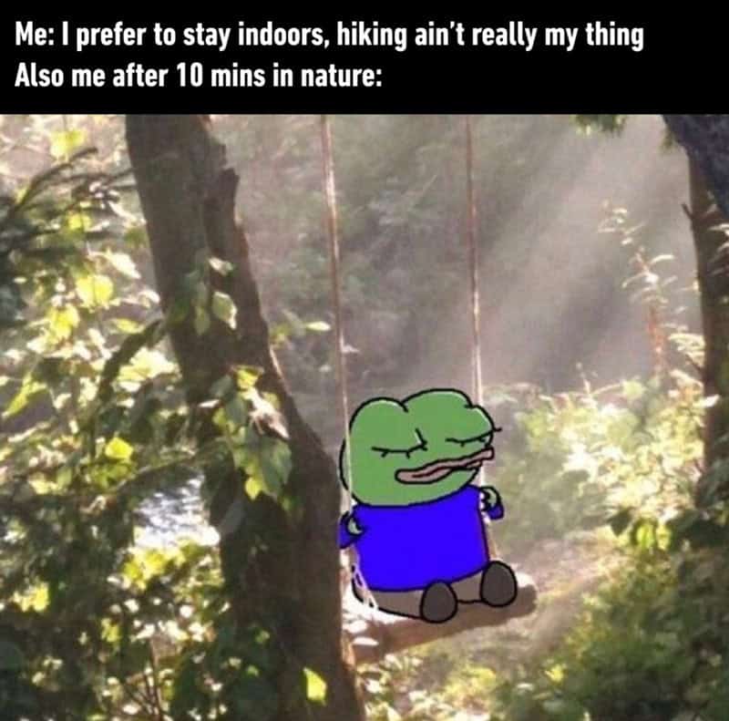 Frog on a swing in the woods with humorous text about preferring indoors.