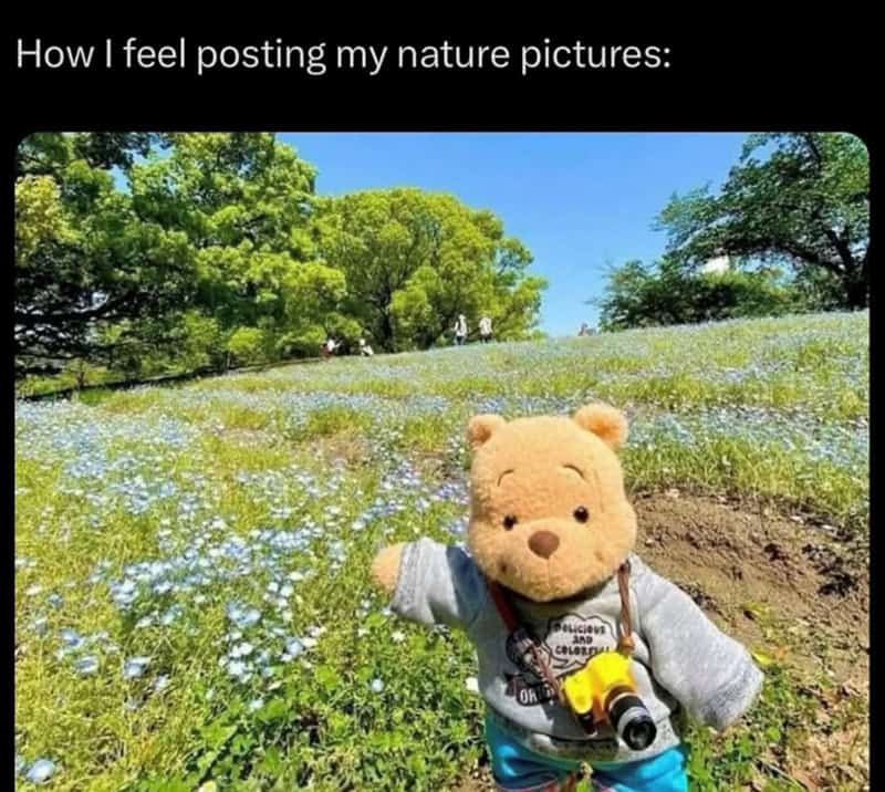 A teddy bear with a camera around its neck in a field of flowers and trees.