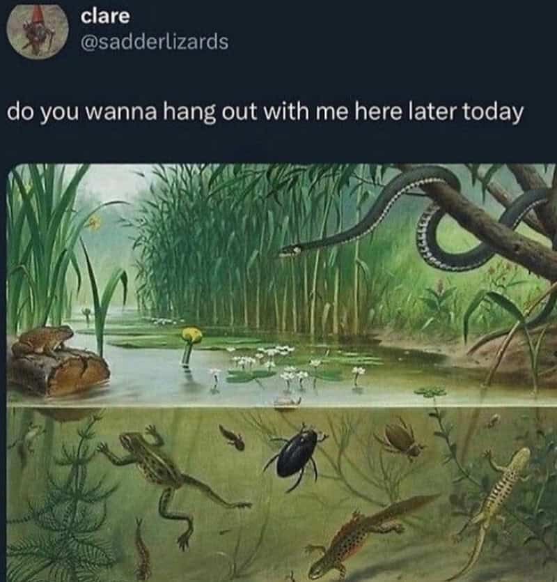 Do you wanna hang out with me here later today?.