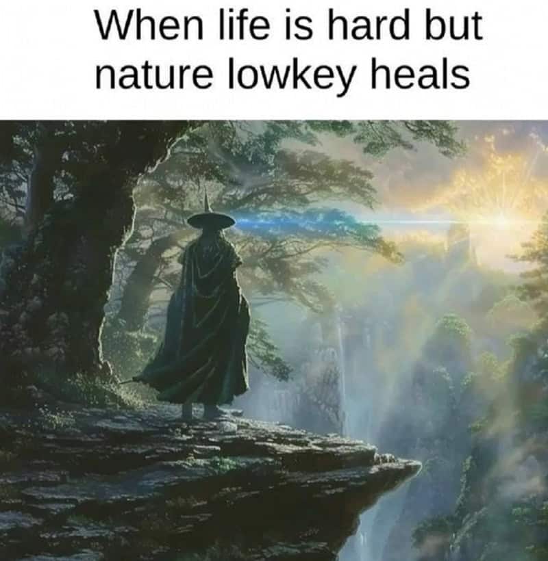 When life is hard but nature lowkey heals.