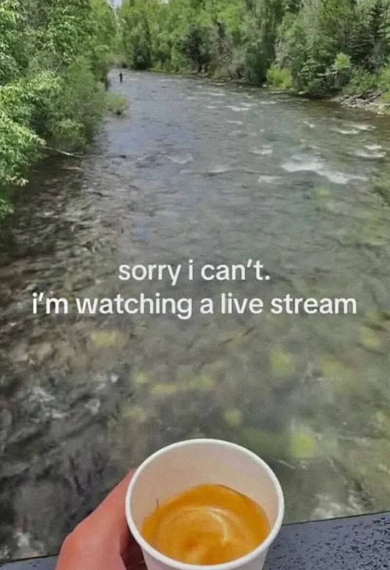 Sorry I can't. I'm watching a live stream with a river and a cup of coffee.