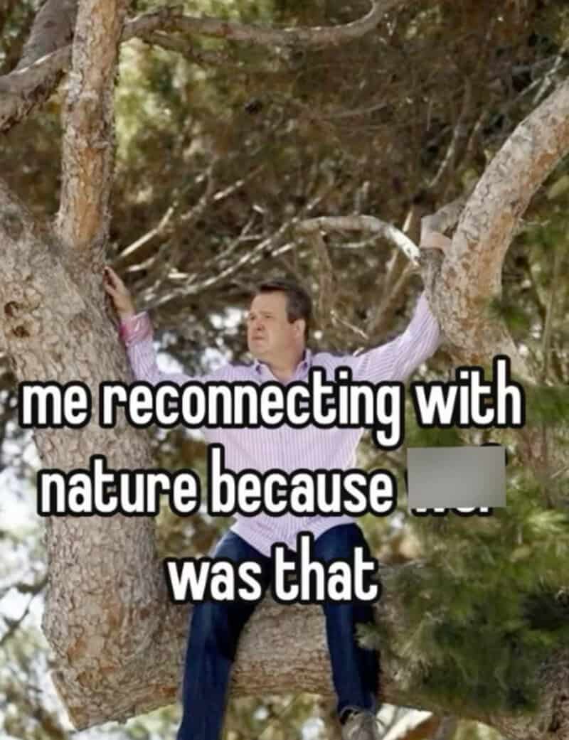 Man sitting in a tree with text about reconnecting with nature.
