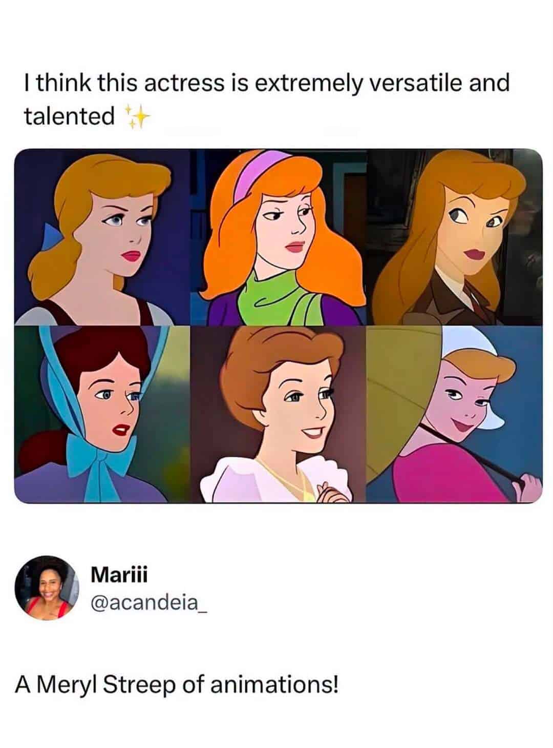 Six Disney princesses in animated style with the caption about Meryl Streep.