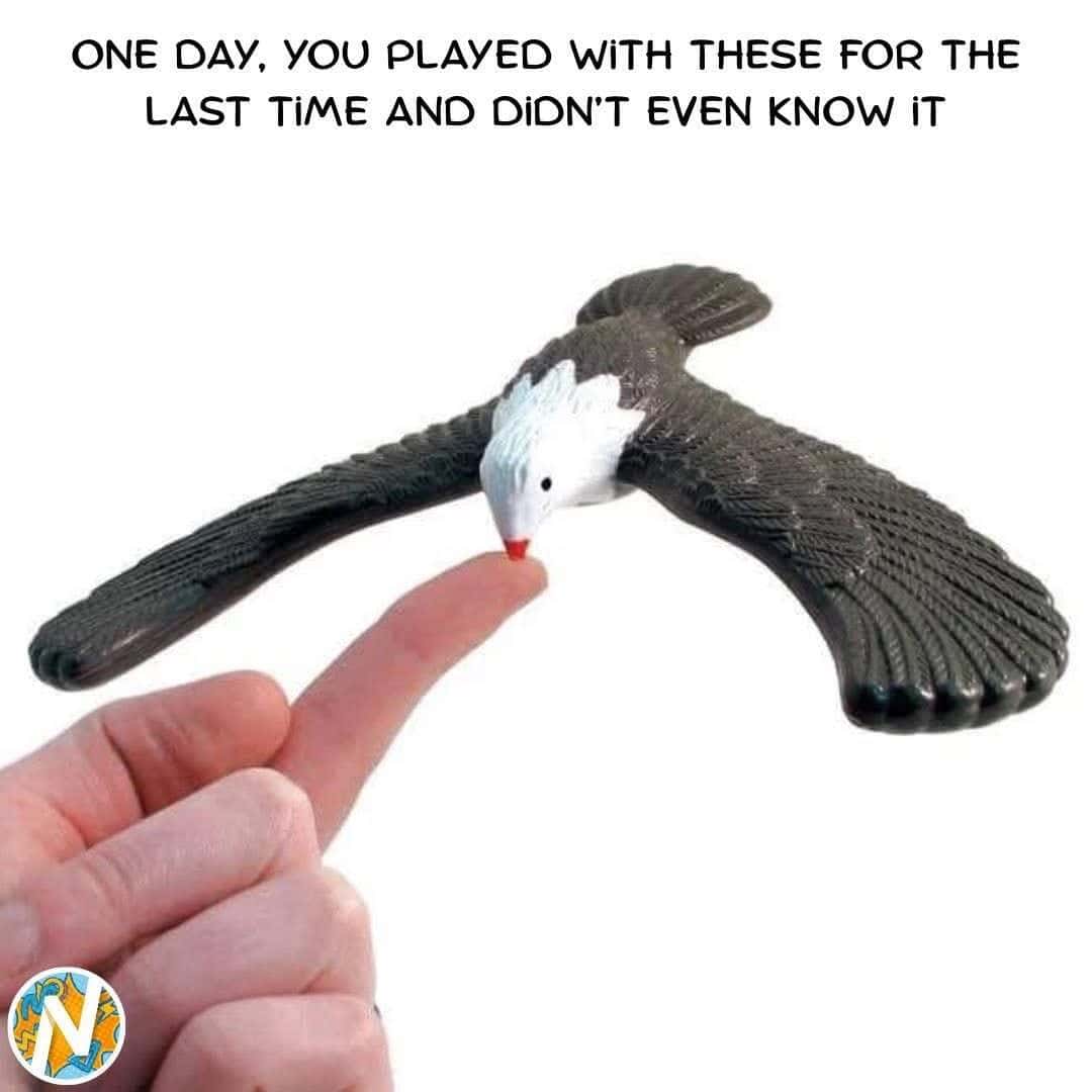 Hand pointing at a bird-shaped toy with text about playing with toys.