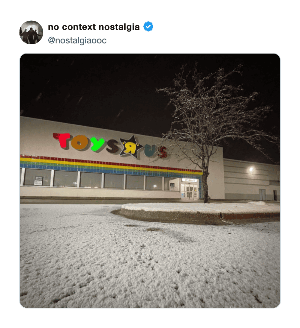 Toys R Us store at night with snow-covered ground and a leafless tree.