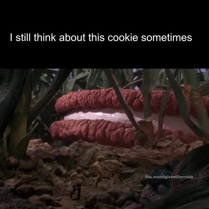 I still think about this cookie sometimes.