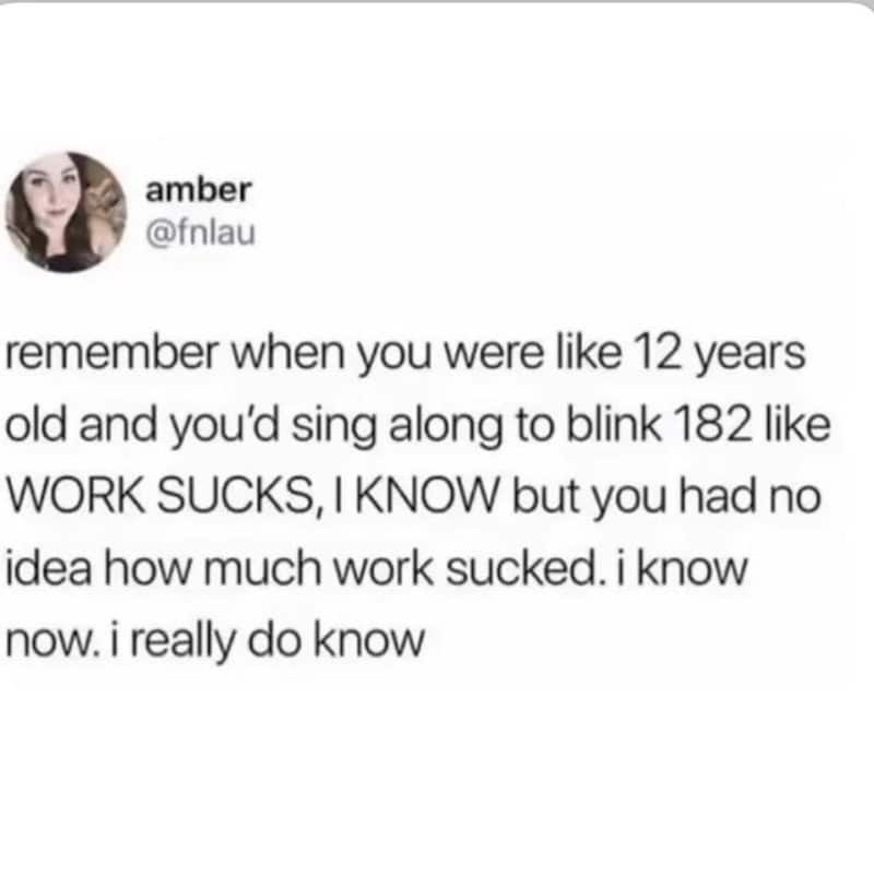 Remember when you were like 12 years old and you’d sing along to Blink 182 like WORK SUCKS, I KNOW b.
