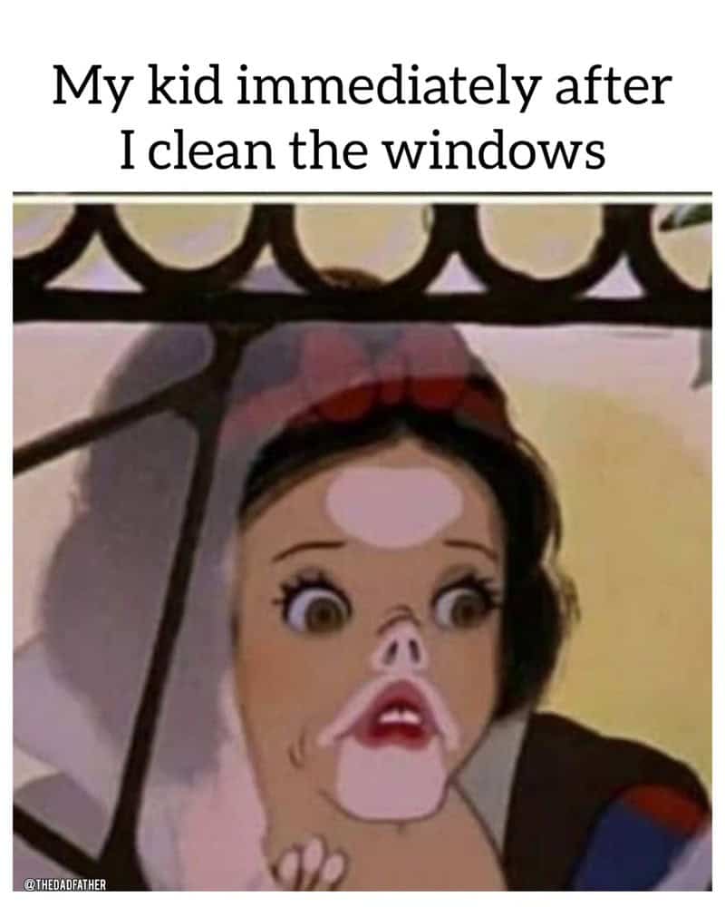 My kid immediately after I clean the windows.
