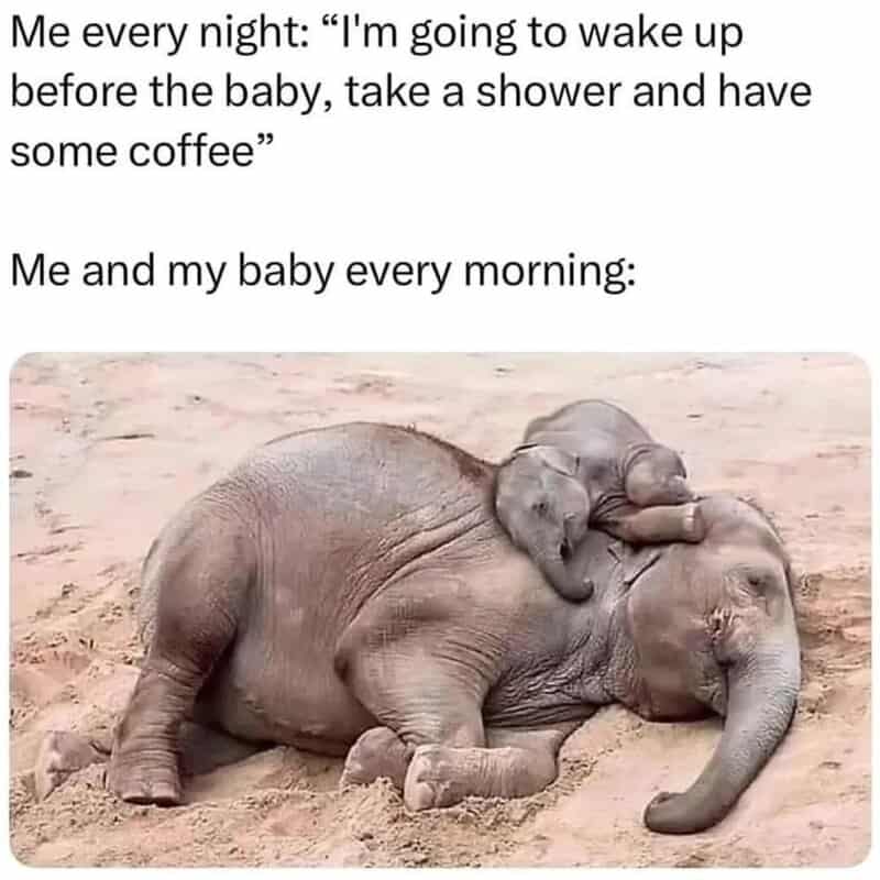 Humorous meme about parenting, showing a baby elephant sleeping on a larger elephant.