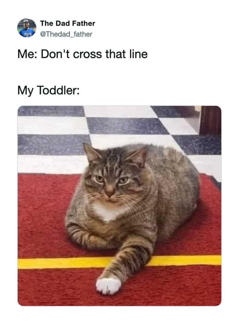 A cat lying on a red mat with a yellow line, looking annoyed.