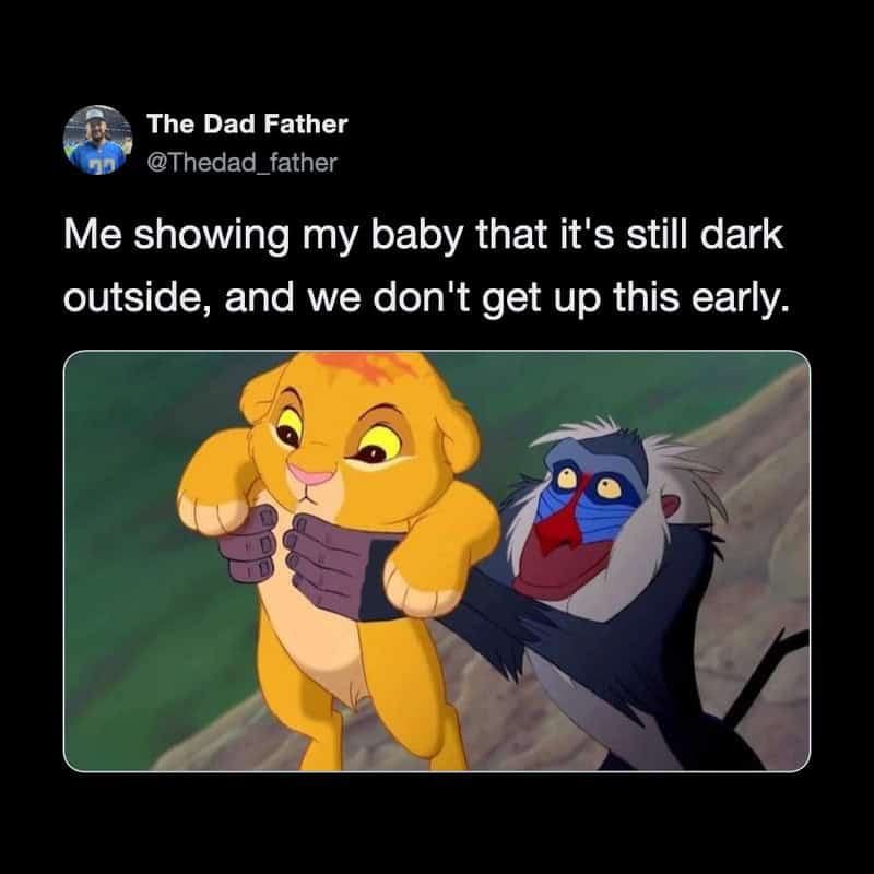 Dad showing baby lion and baboon that it's still dark outside.