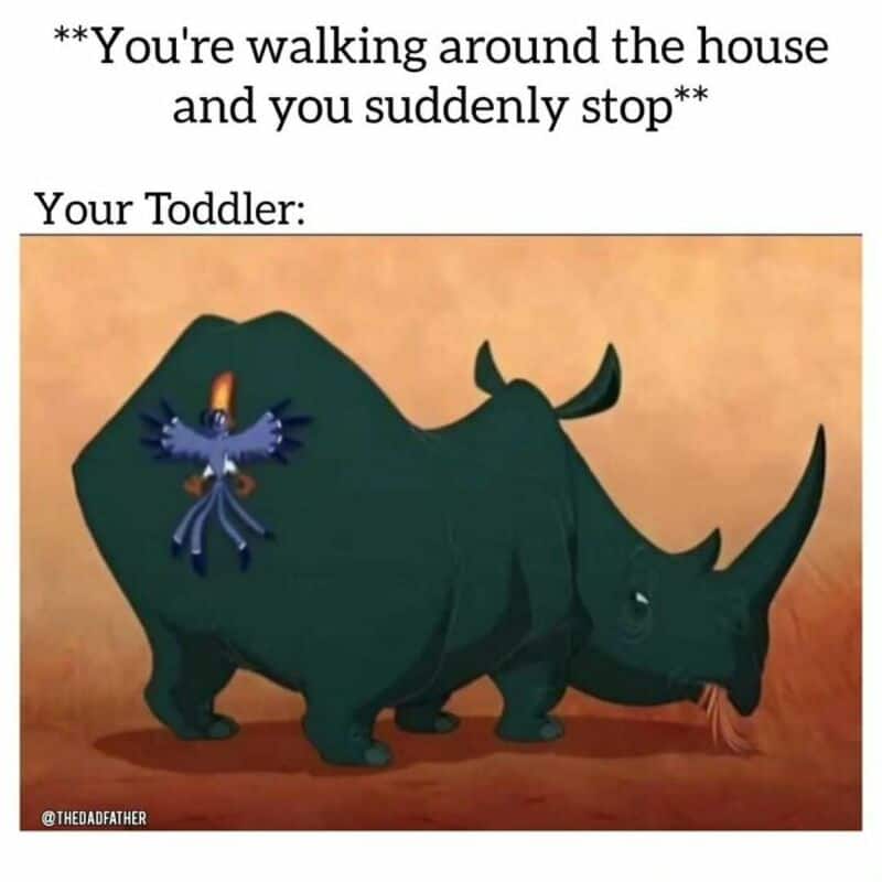 A cartoon of a triceratops with a small bird on its back, with text about walking around the house.