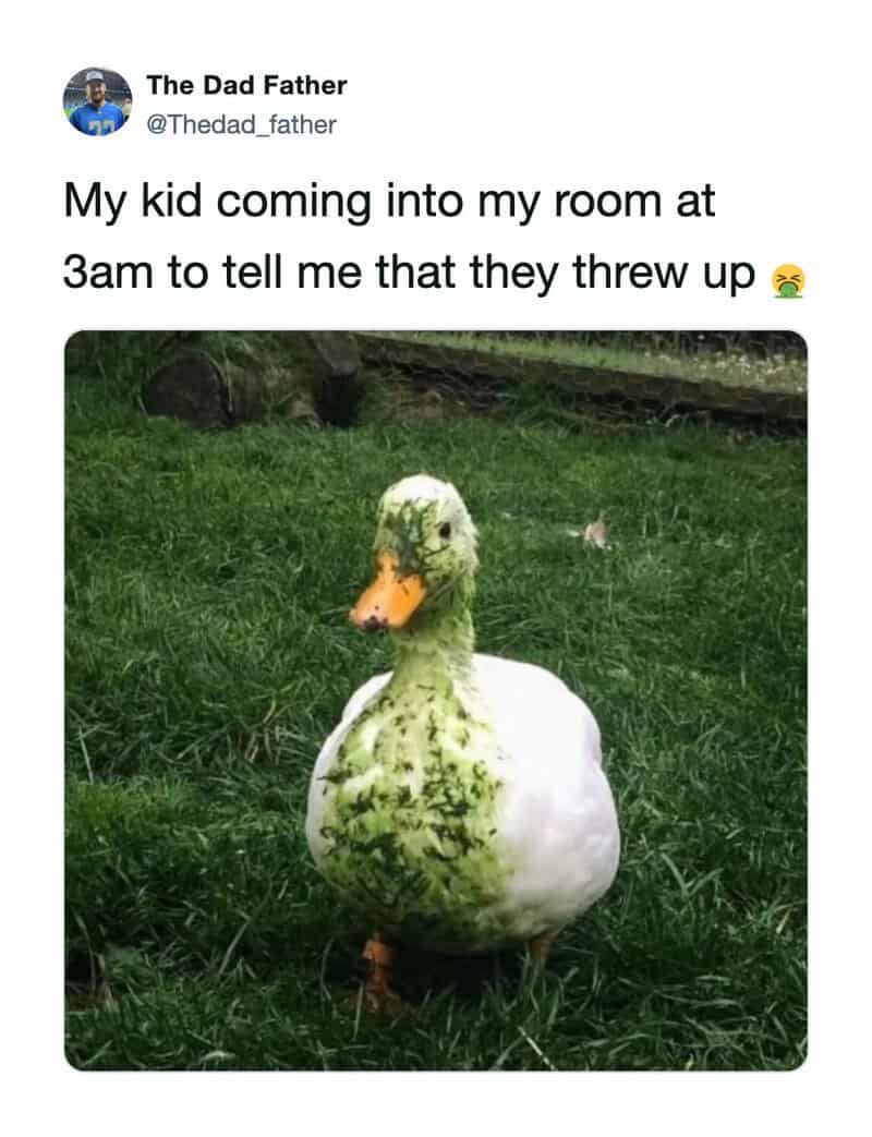 A duck with a body covered in green moss or algae, standing on grass.