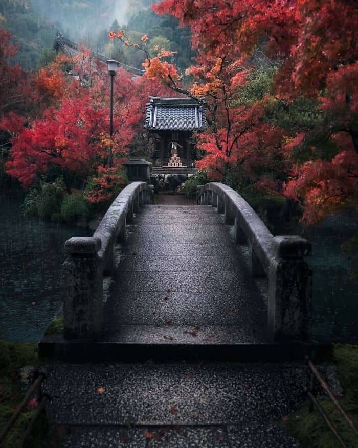 Serene Japanese bridge with vibrant autumn foliage and traditional shrine in background.