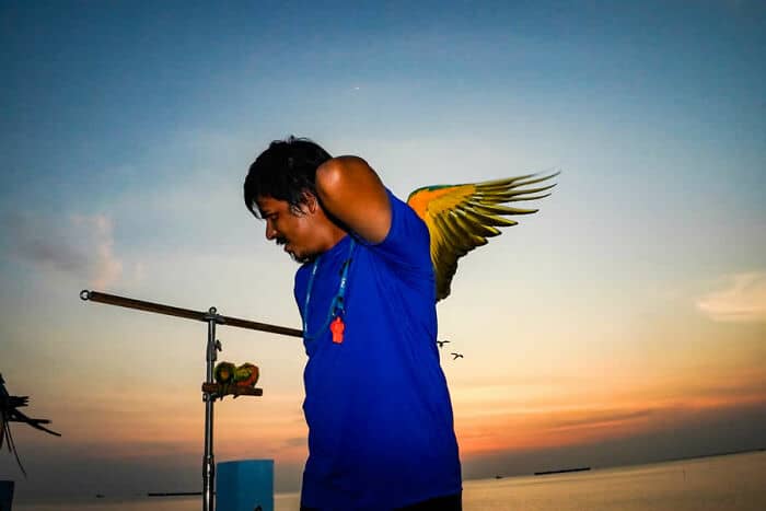 Young man with wings on his back at sunset, holding a stick with a small object.