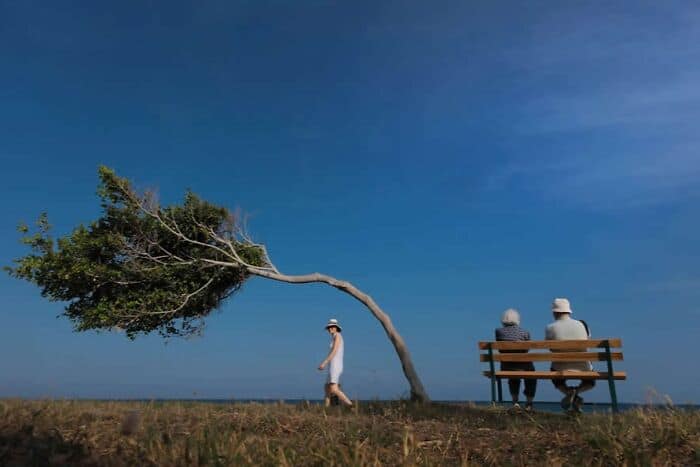 A woman walking past a leaning tree with two people sitting on a bench under the tree.