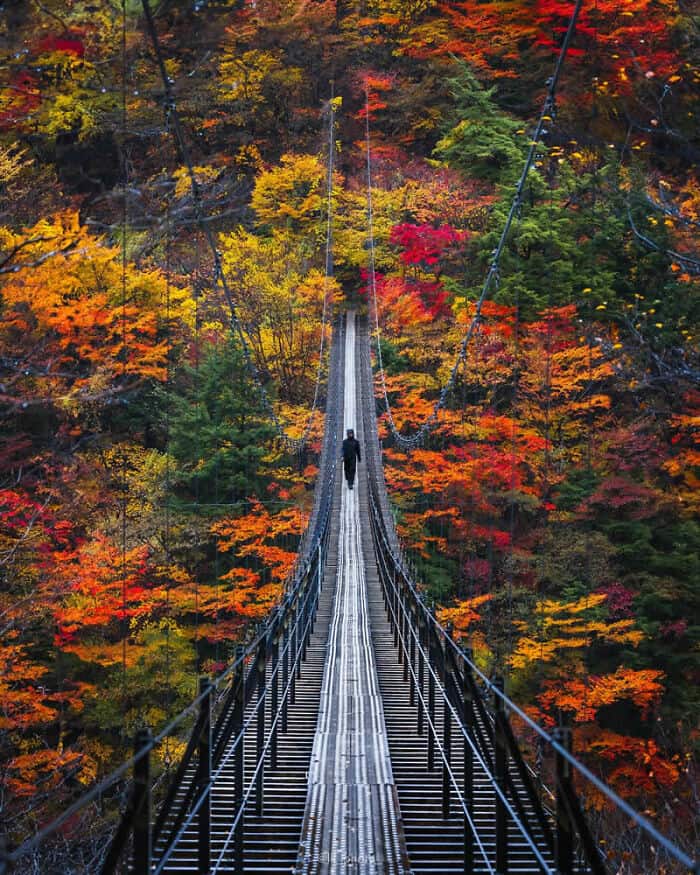 Scenic suspension bridge over colorful autumn forest in fall.