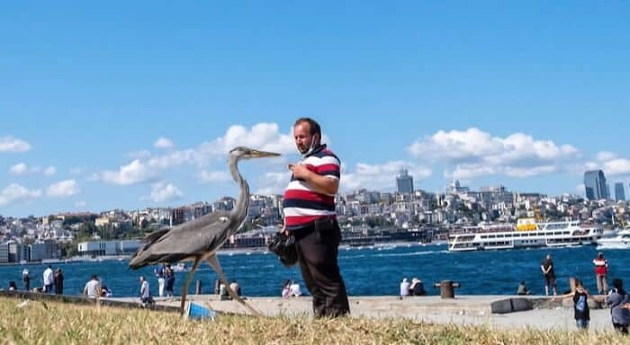 A man feeding a heron by the waterfront with city buildings in the background.