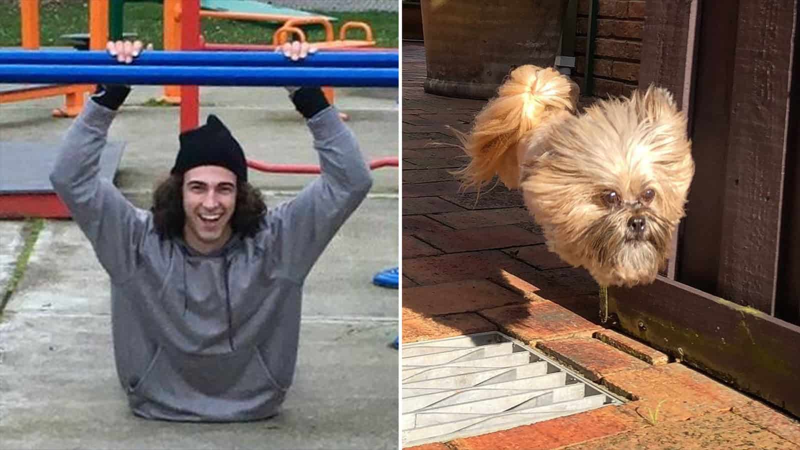 Person with head and arms above ground, creating an illusion of a dog.