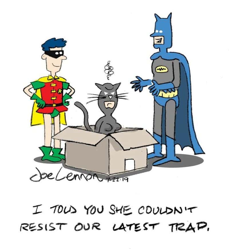 Batman, Robin, and a cat in a box with a caption about a trap.