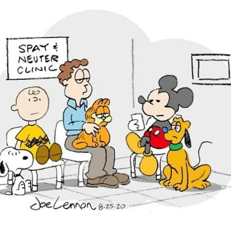 Garfield, Snoopy, and other cartoon characters in a waiting room with a sign for Spay & NeuterClinic.