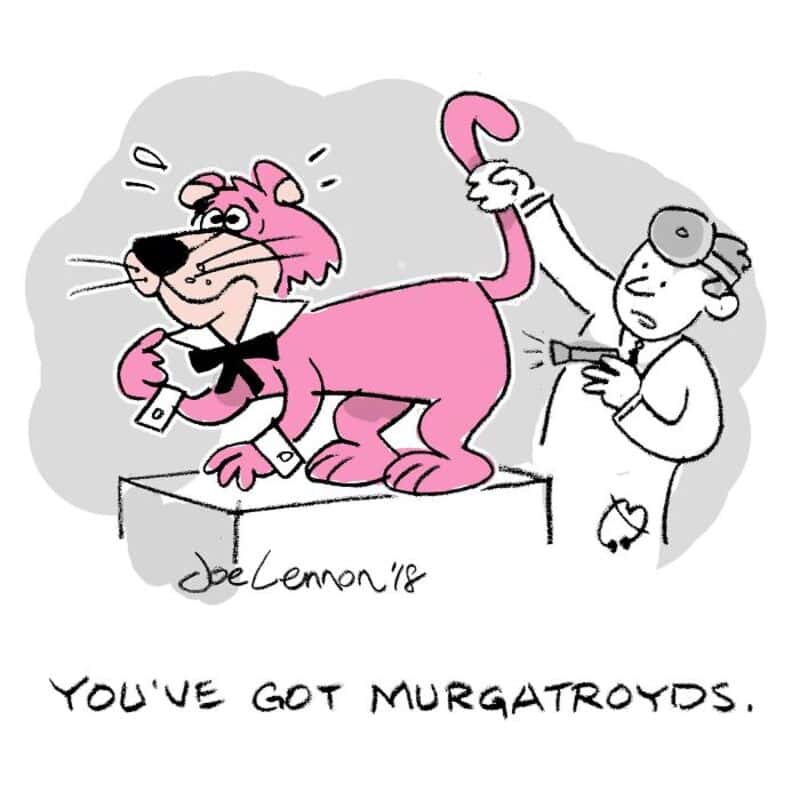 Pink cartoon cat with a bow tie and a doctor examining it, with text 'You've got Murgatroyds'.