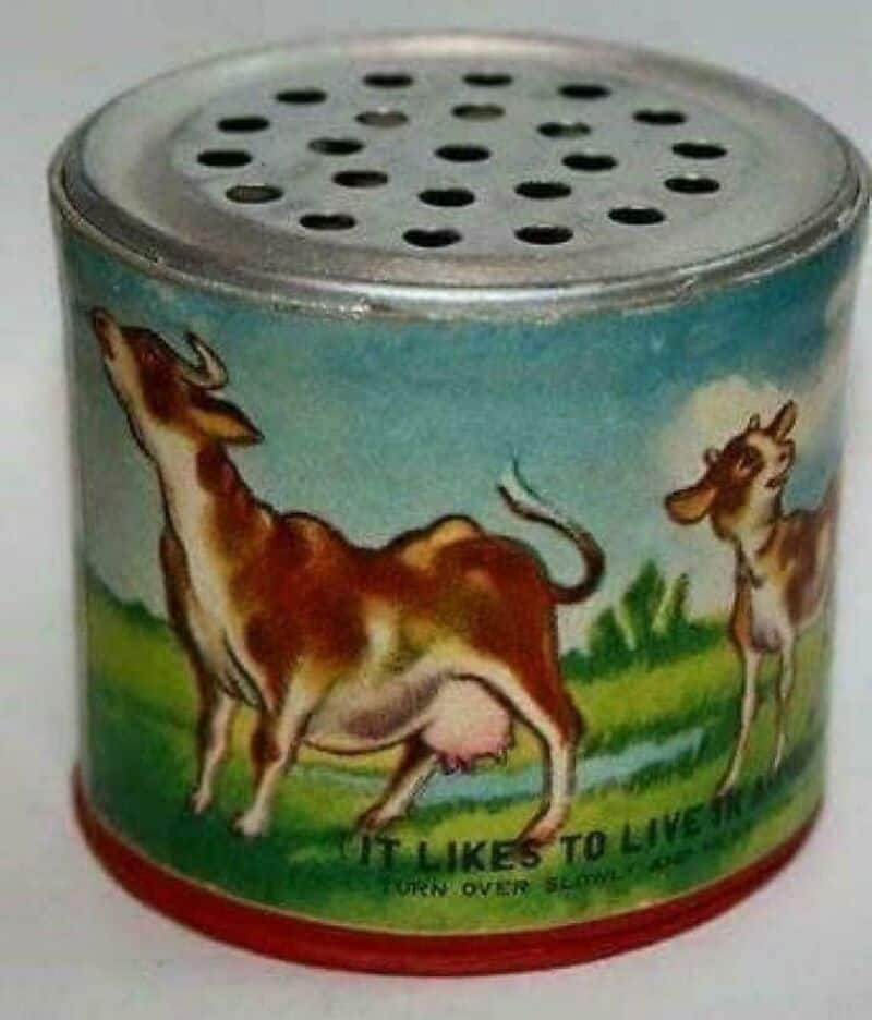Vintage cow-themed metal container with holes on top, labeled 'It Likes to Live in the...'.
