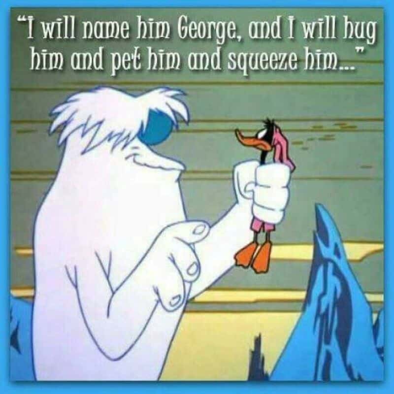 Yeti holding a small penguin with quote about naming and hugging him.