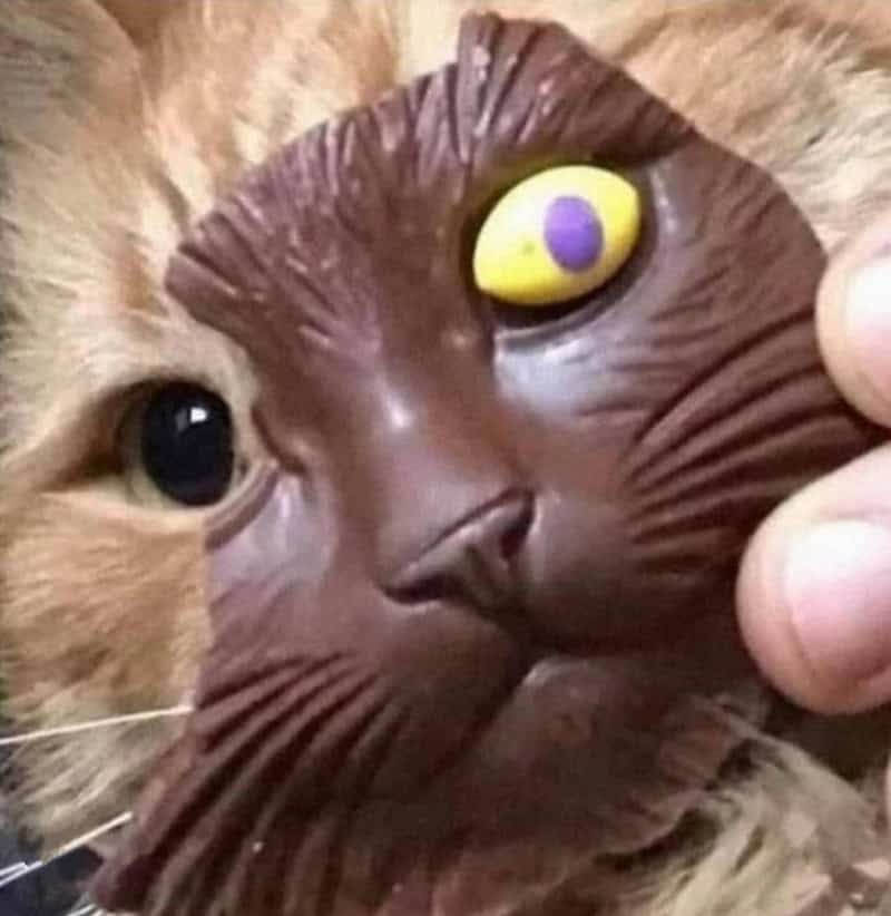 A cat with a mask resembling a creature with a yellow eye and purple spot, held by a person's hand.