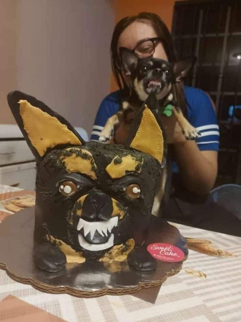 Person holding a small black and tan dog with a green collar behind a dog-shaped cake.