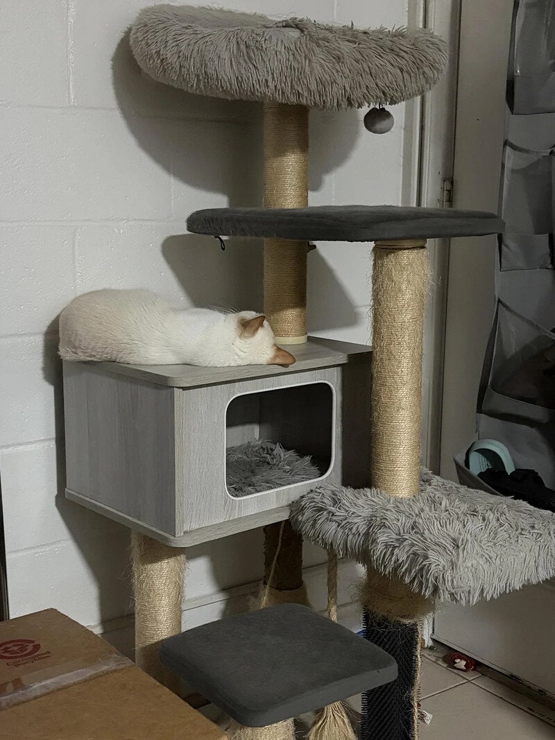 White cat sleeping on a gray wooden cat house under a multi-level cat tree.