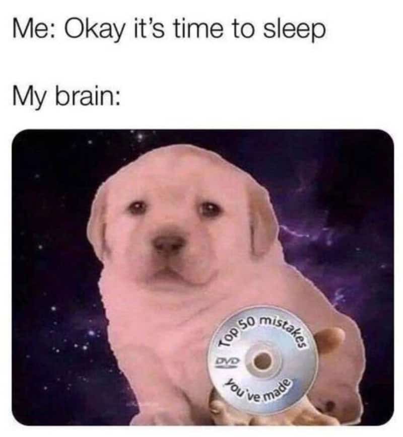 Dog with a DVD labeled 'Top 50 mistakes you ve made' in space background.