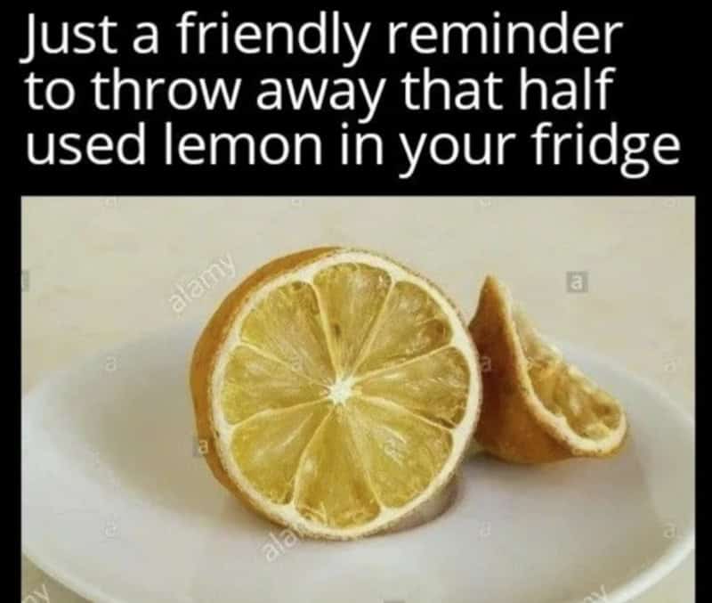 Just a friendly reminder to throw away that half used lemon in your fridge.