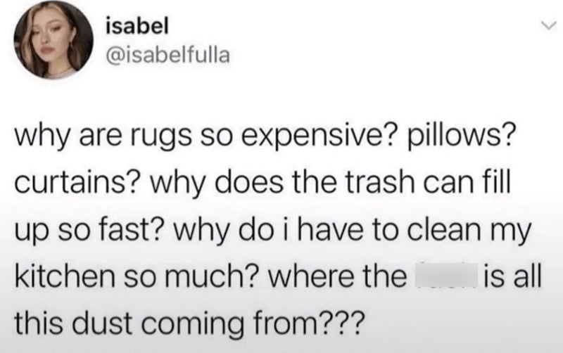 Isabel's tweet questioning why rugs, pillows, curtains are expensive and trash fills up fast.