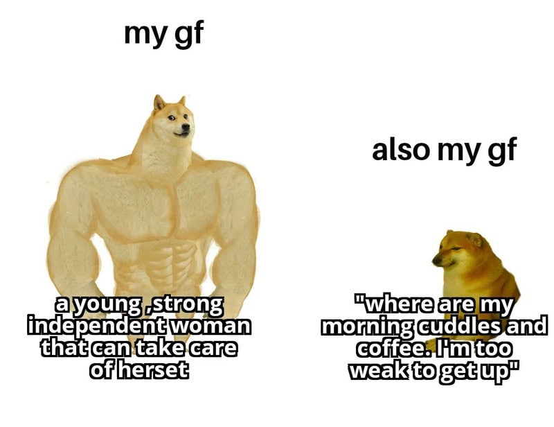 Memes of a muscular dog and a smaller dog with text about relationships.