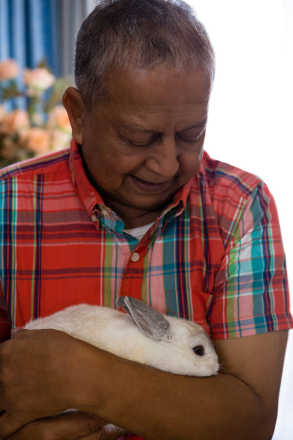 Elderly man holding a white rabbit indoors, smiling gently.