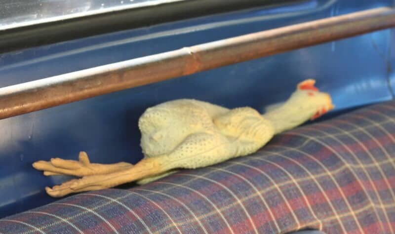 A rubber chicken with a yellow knitted sweater lying on a plaid cushion.