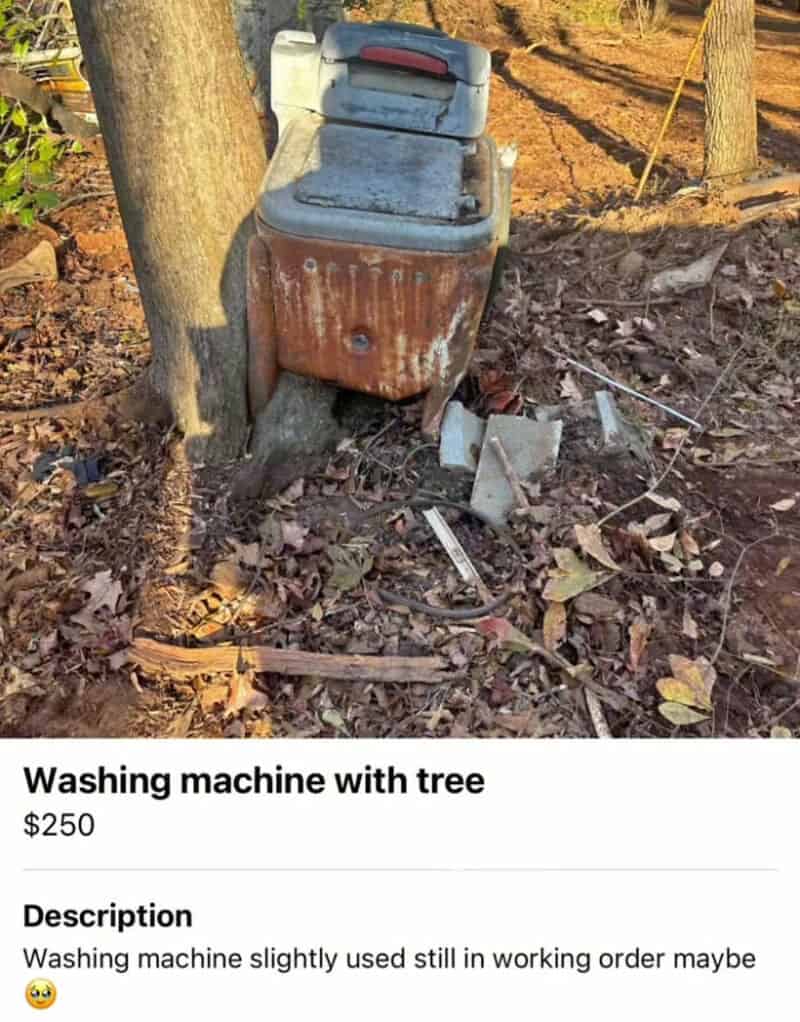 Washing machine with tree, slightly used, in working order, $250. Washing machine slightly used, sti.