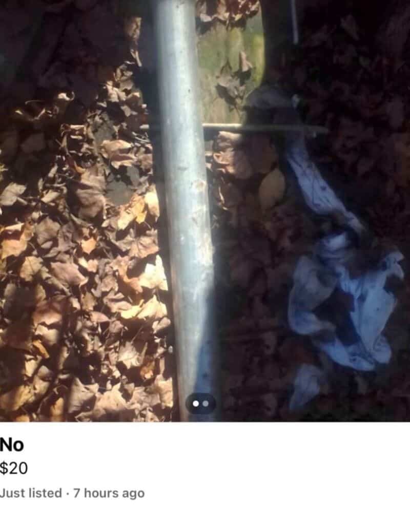 Metal pipe among dry leaves with a crumpled white cloth nearby.