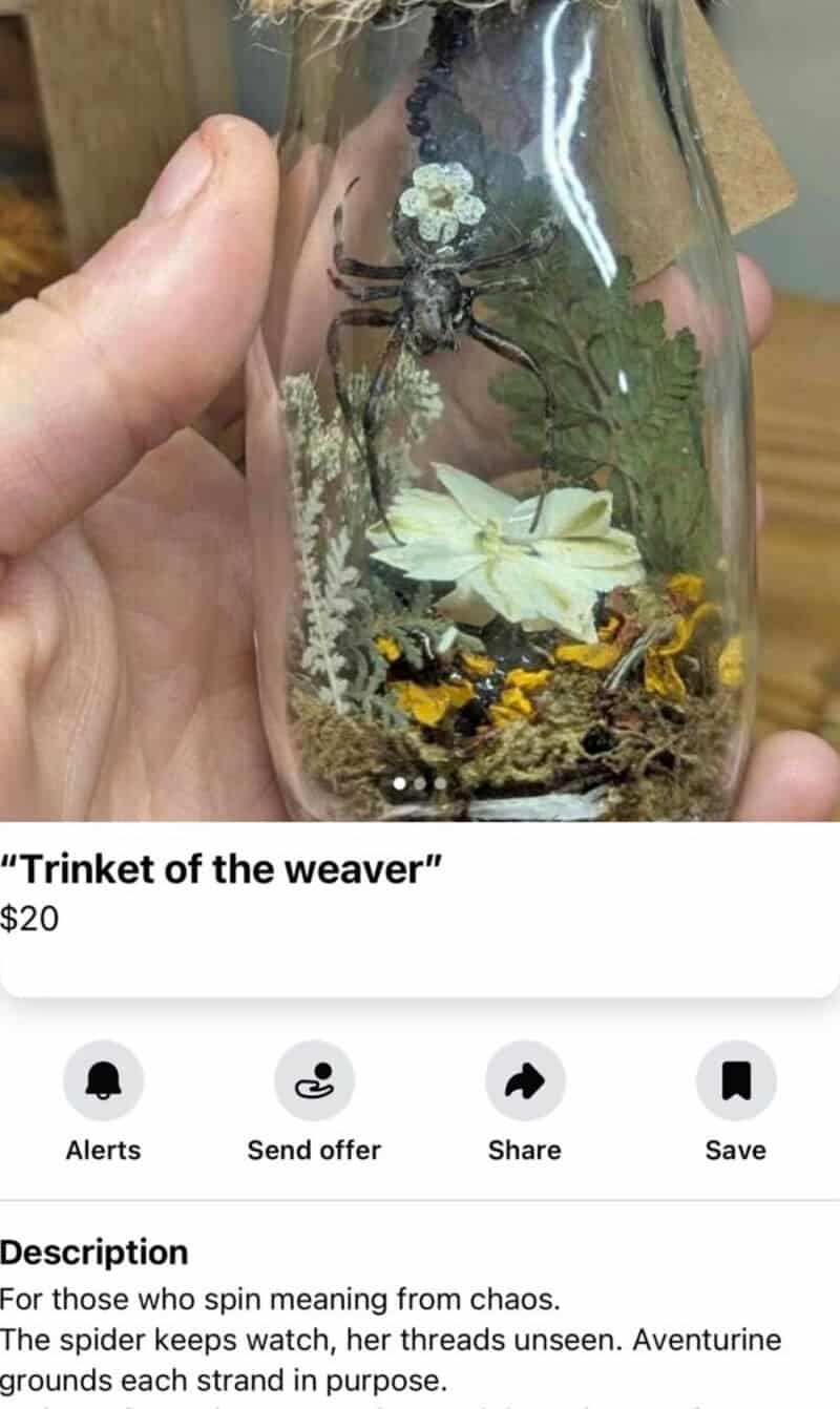 A spider inside a glass jar with a white moth and yellow flowers.
