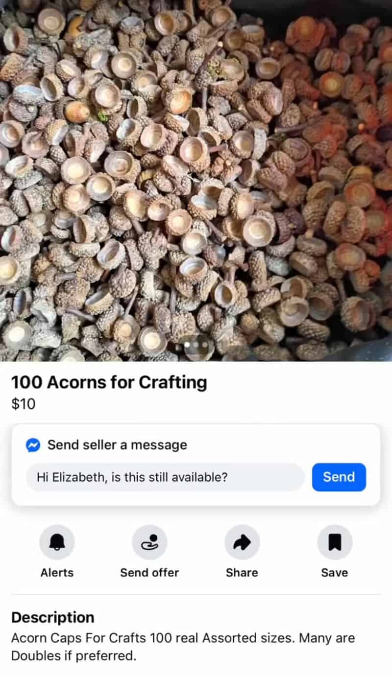 Acorns for crafting, 100 assorted acorn caps, natural and varied sizes=