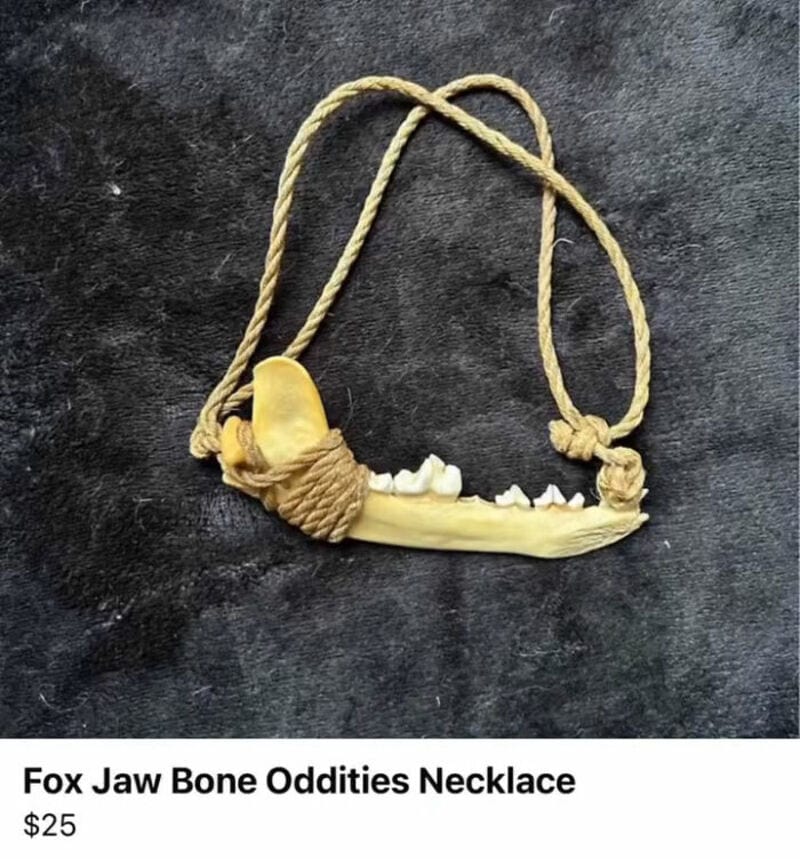 Fox jaw bone oddities necklace with rope, priced at $25.