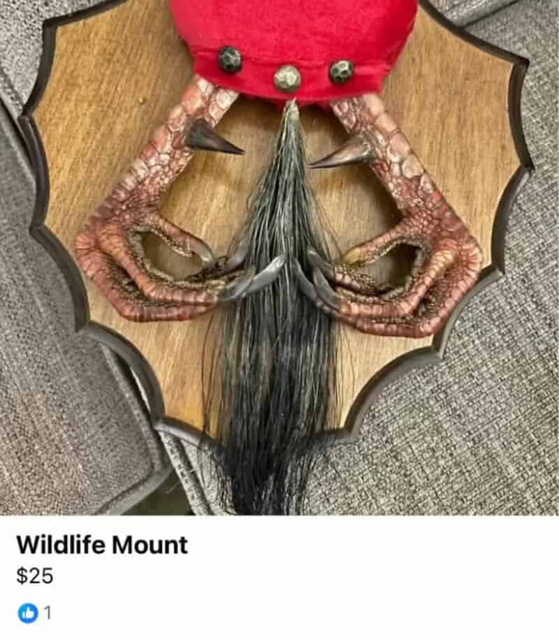 Wildlife Mount with red clothing and black tail, priced at $25.