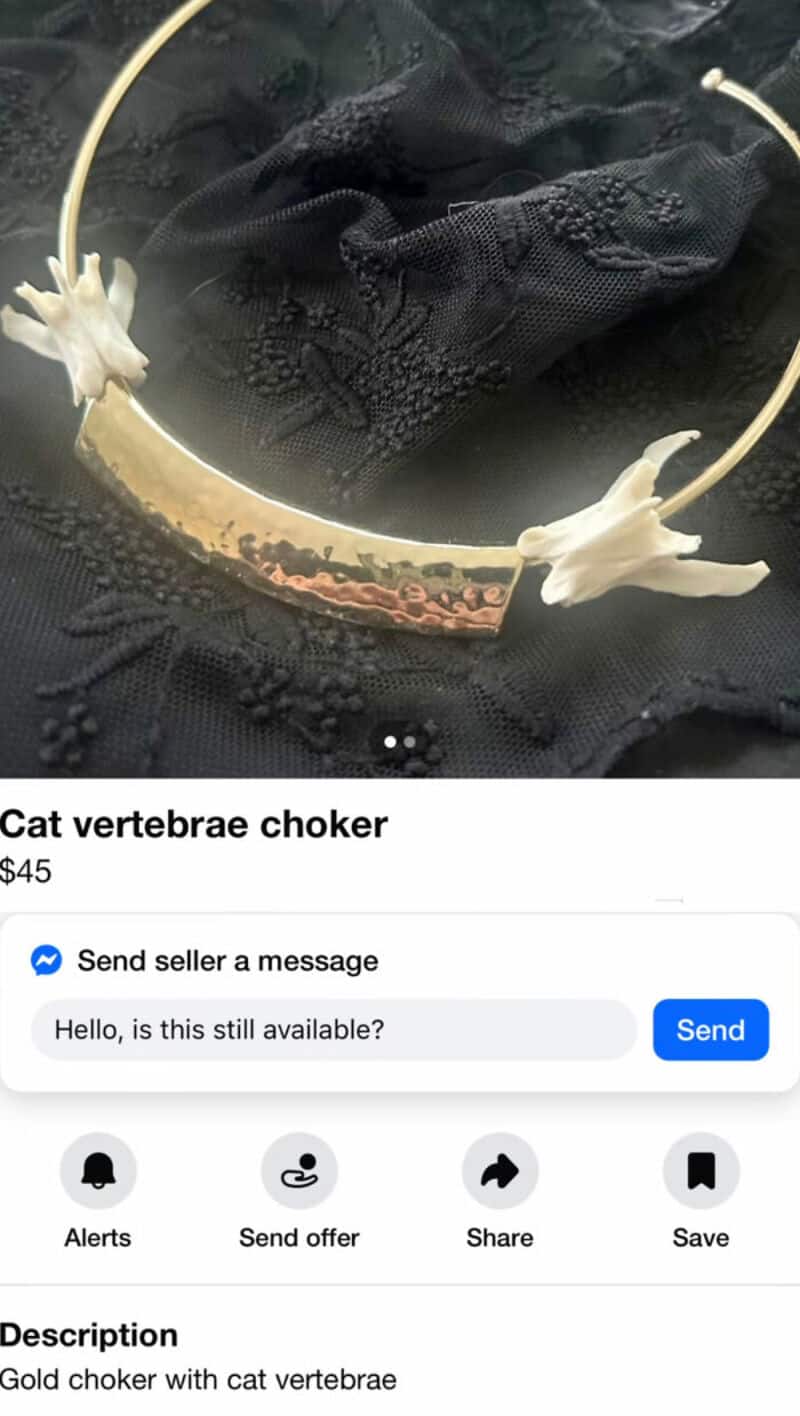 Gold choker with cat vertebrae on black fabric background.