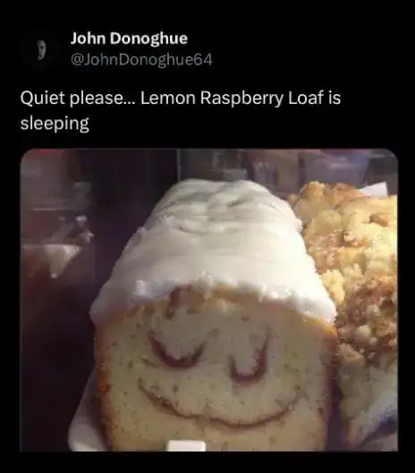 Lemon Raspberry Loaf with a smiling face, sleeping peacefully, with text overlay.